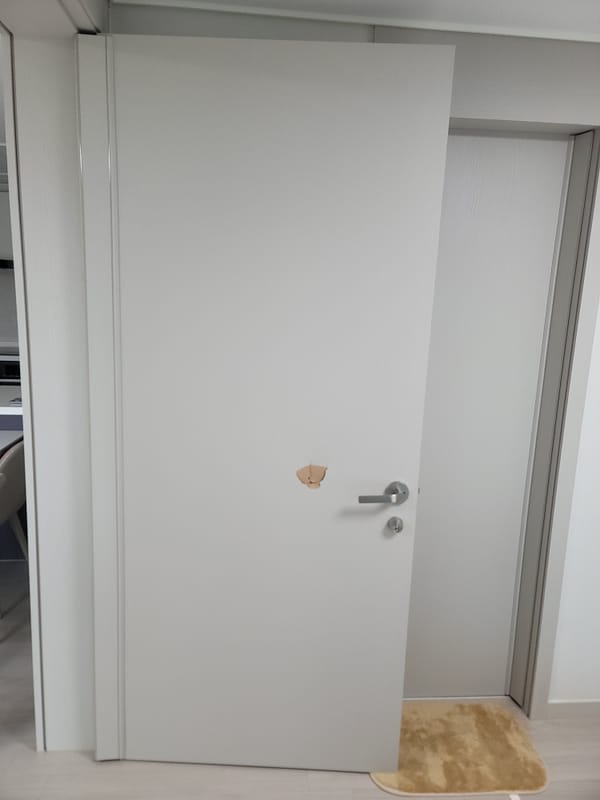 충남 아산 문짝수리(나무문,ABS도어) 시공 전